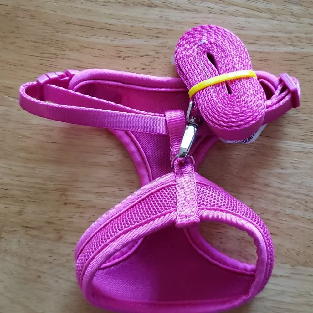 NWOT Pink Halter with 5ft leash. Small